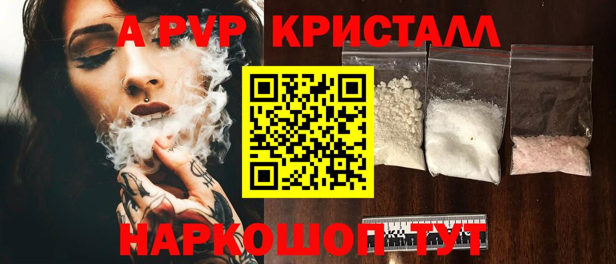 A PVP СК Новосибирск