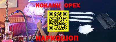 стафф Гатчина