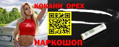 стафф Гатчина