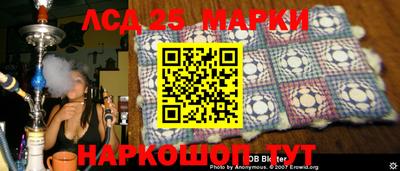 стафф Гатчина