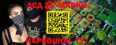 стафф Гатчина