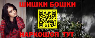 стафф Гатчина