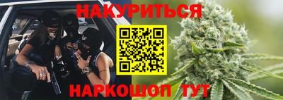 стафф Гатчина