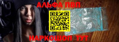 стафф Гатчина