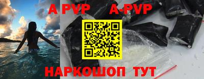 стафф Гатчина