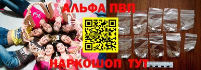 стафф Гатчина