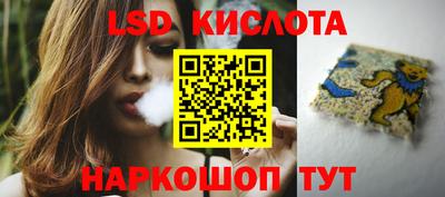 стафф Гатчина